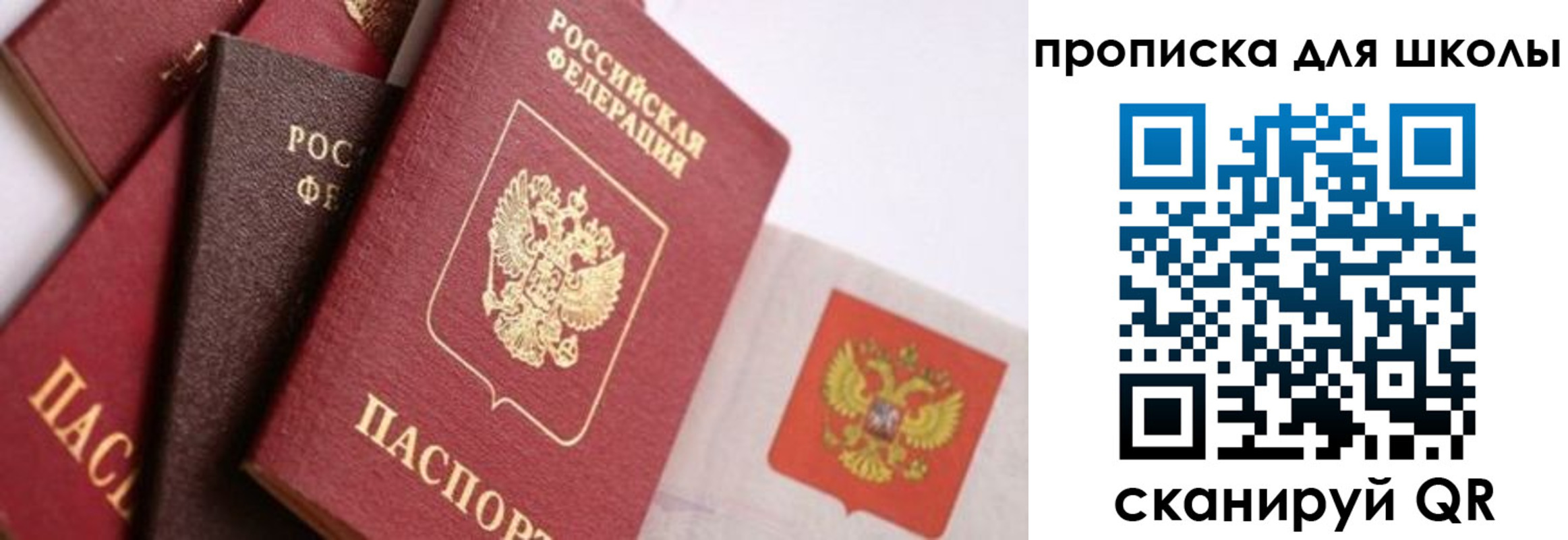 прописка поиск в Волхове